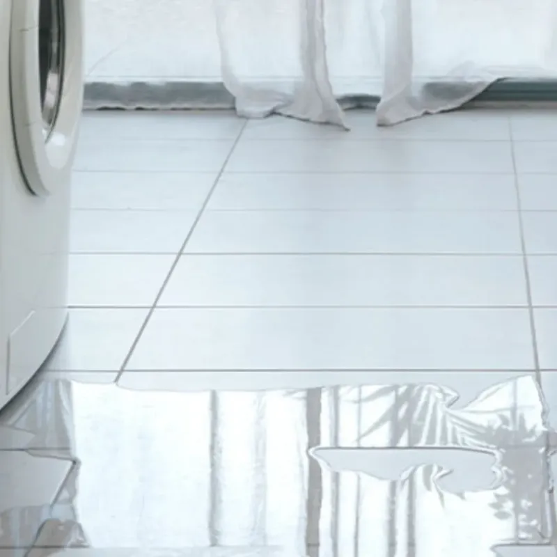 Appliance Leak Cleanup in Gage Park, IL
