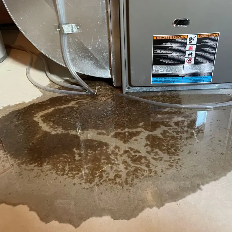 Pipe Burst and Leak Restoration in Gage Park, IL